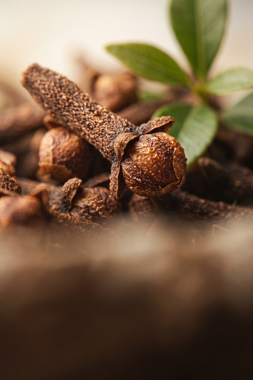 Whole Clove Bud